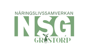 NSG:s logotyp. 