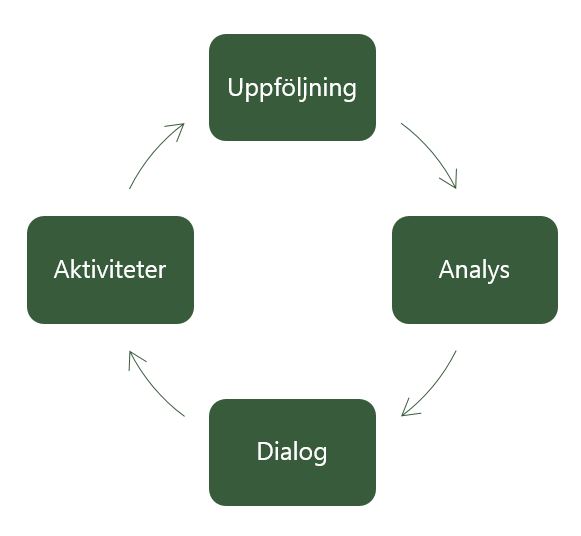 Snurra med Aktiviteter, Uppföljning, Analys, Dialog i gröna boxar. 