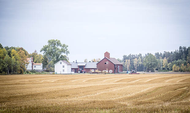 Stubbåker med gård i bakgrunden