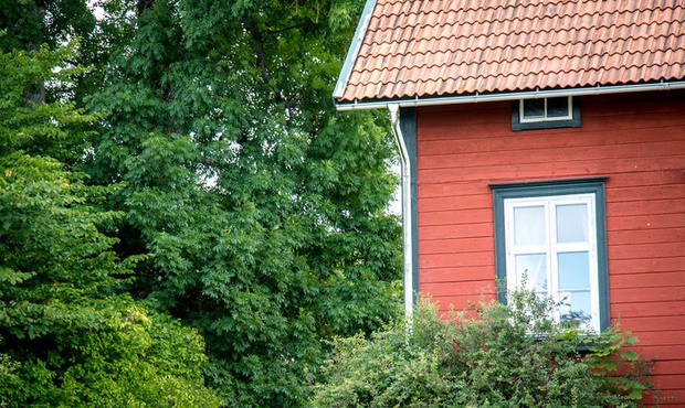 Miljöbild rött hus med träd högupplöst