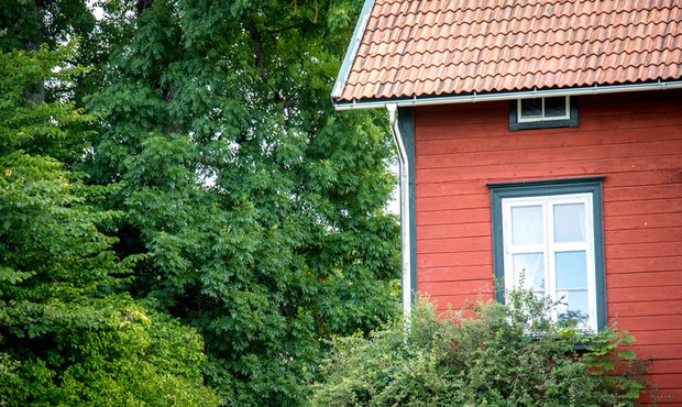 Miljöbild rött hus med träd högupplöst 