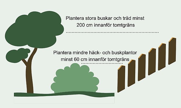 Grafik som illustrerar reglerna för vegetation för enskilda fastighetsägare där Grästorps kommun är väghållare. 