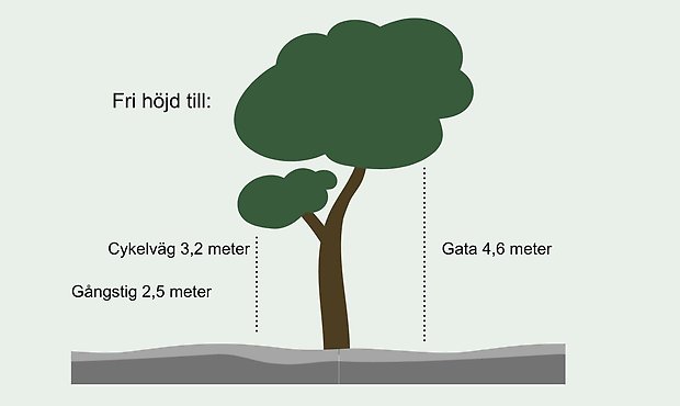 Grafik som illustrerar reglerna för vegetation för enskilda fastighetsägare där Grästorps kommun är väghållare.