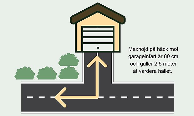 Grafik som illustrerar reglerna för vegetation för enskilda fastighetsägare där Grästorps kommun är väghållare.