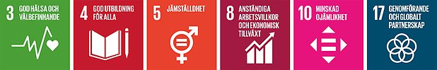 De globala målen för perspektiv 3, attraktiv arbetsplats: 3, 4, 5, 8, 10, 17