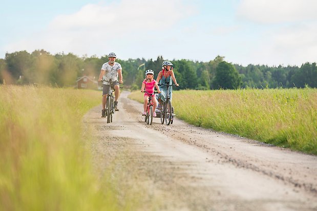 Familj cyklar på en landsväg