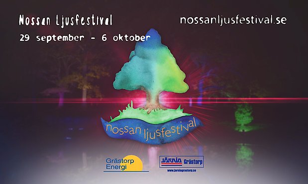 Ljusfestivalen 620