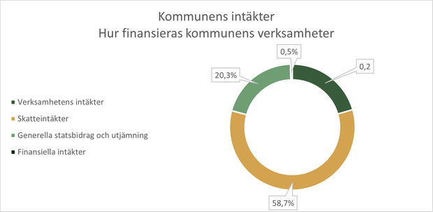 Diagram över kommunens intäkter.