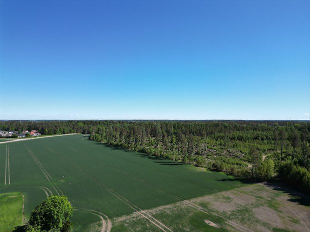 Bild över planområdet till Söderskogen