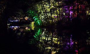 Foto från Nossan Ljusfestival där Nossan är belyst i olika färger på kvällen. 