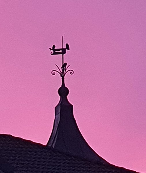 Äpplen